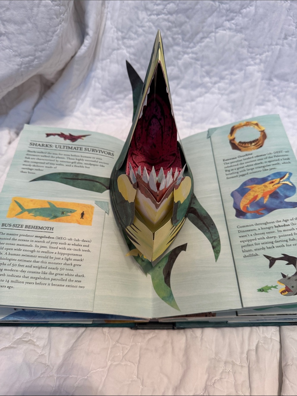 Encyclopedia Prehistorica: Sharks and Other Sea Monsters - Teal Pop-Up Book - Picture 5 of 8